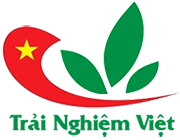 /SiteFolders/trainghiemviet/2430/banner/logoTNV.png