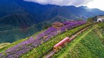 Cùng trải nghiệm vẻ đẹp của Sa Pa