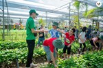 Vì sao các em học sinh nên tham gia các hoạt động trải nghiệm, hướng nghiệp?