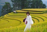 Trải nghiệm với điểm đến Mù Cang Chải (tỉnh Yên Bái)